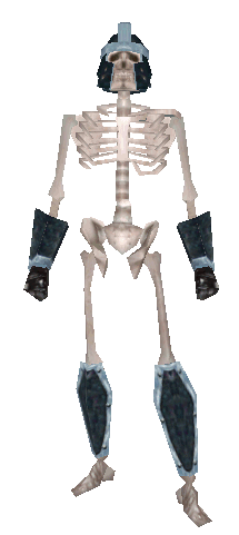 Skeleton Warrior